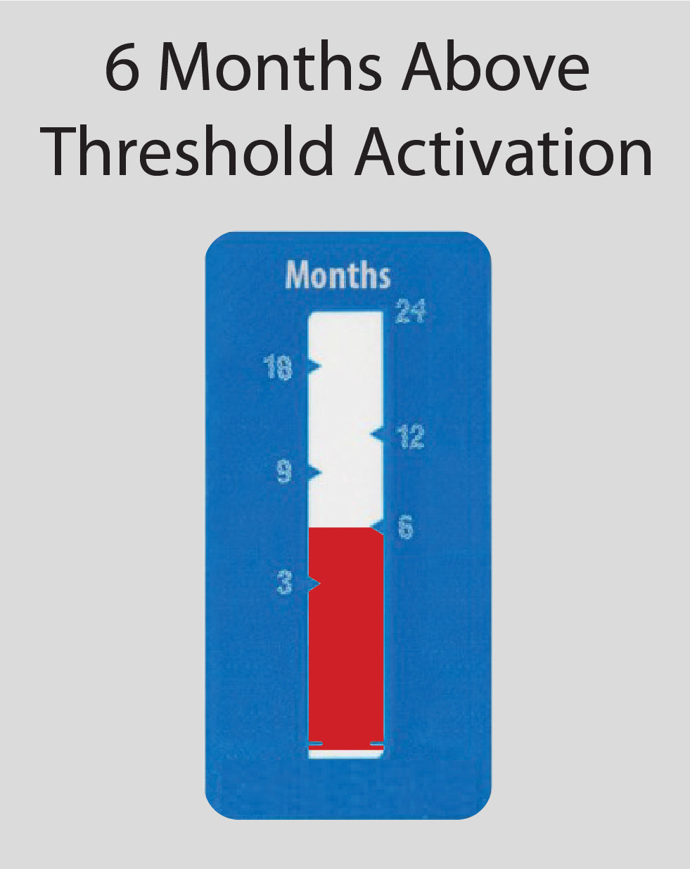Time Indicator Label 24-Month
