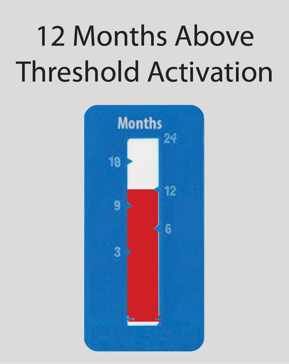 Time Indicator Label 24-Month