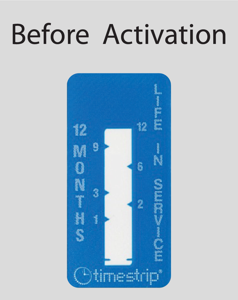 Time Indicator Label 12-Month