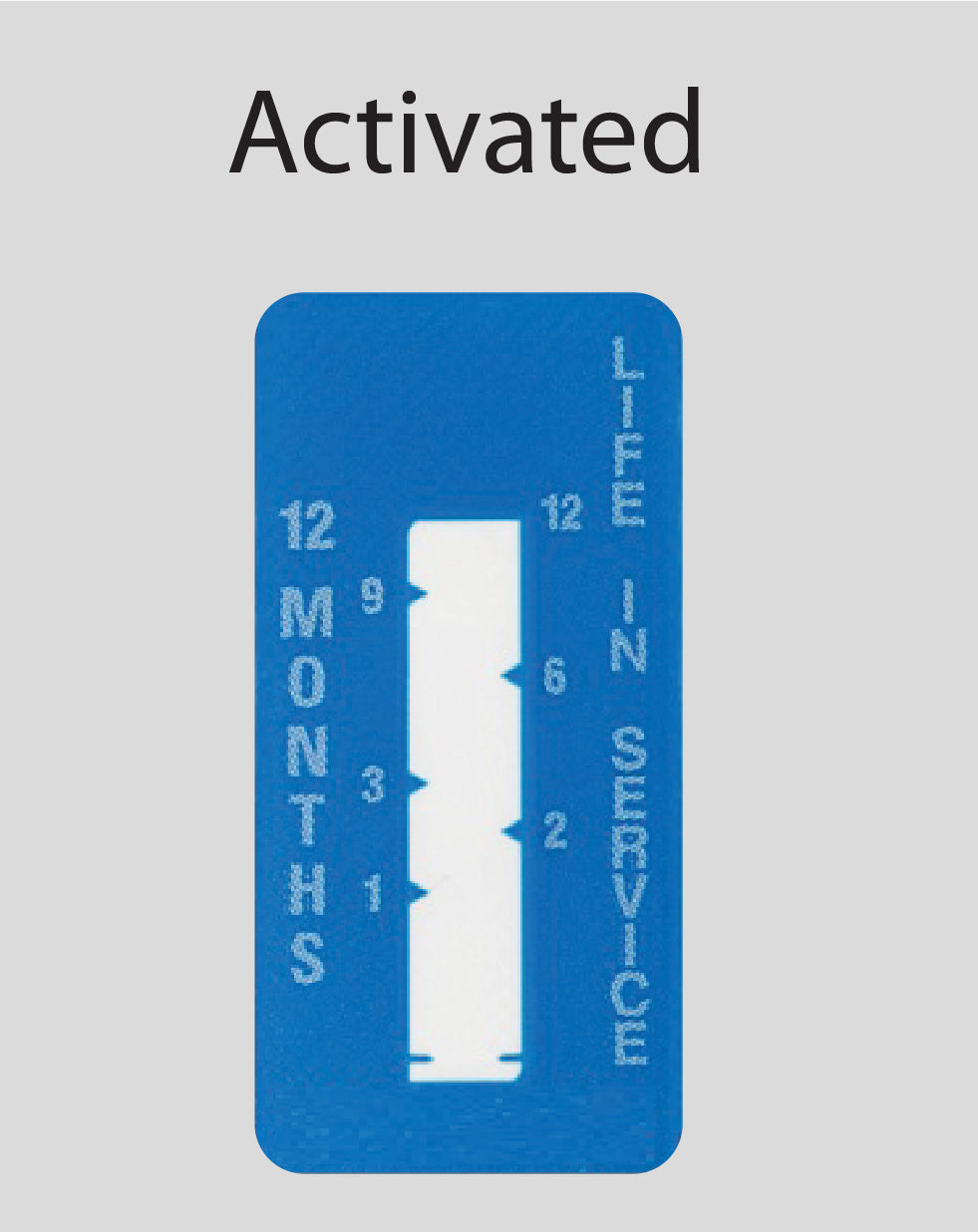 Time Indicator Label 12-Month