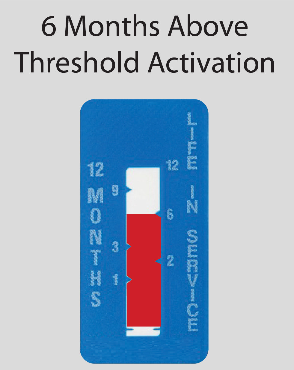Time Indicator Label 12-Month
