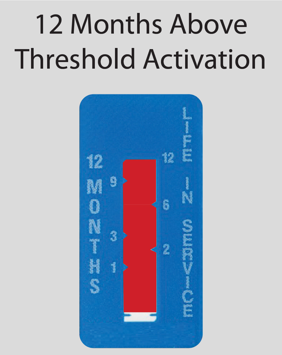 Time Indicator Label 12-Month