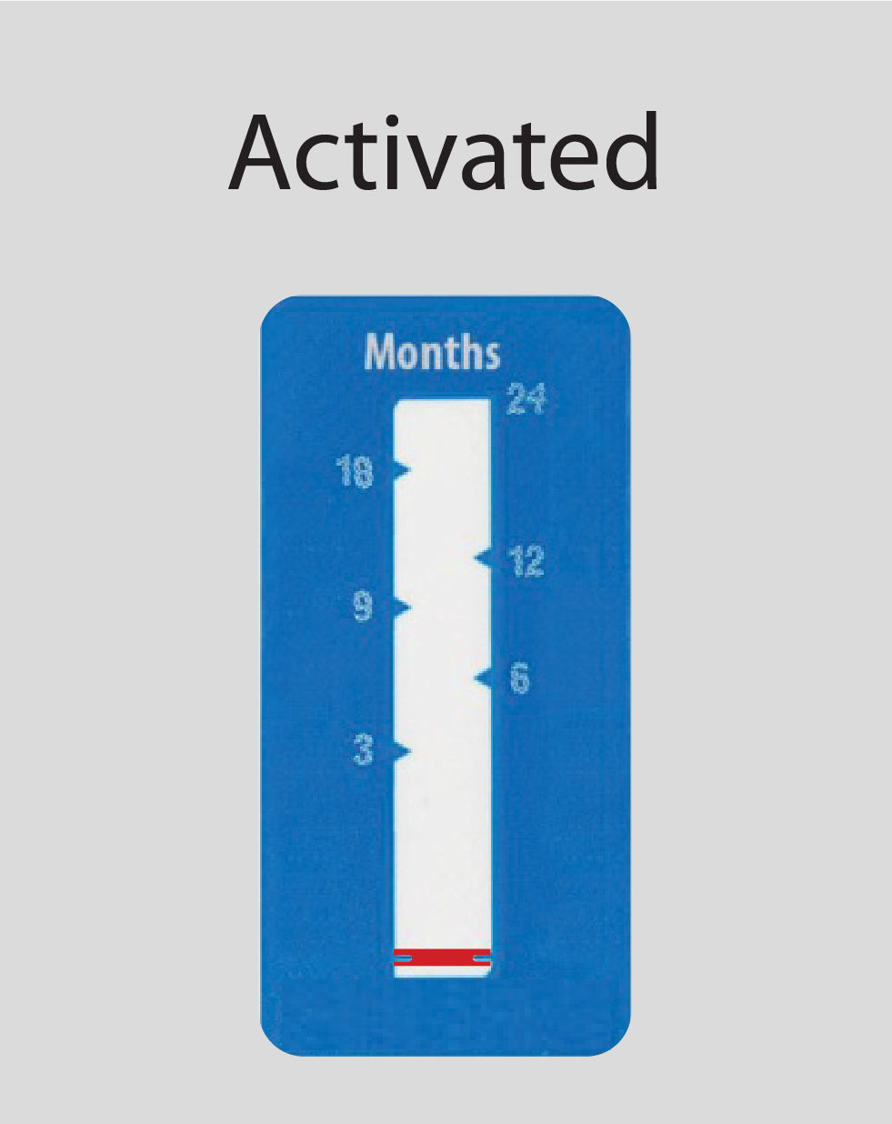 Time Indicator Label 24-Month